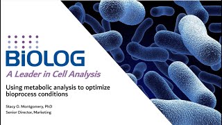 Using metabolic analysis to optimize bioprocess conditions