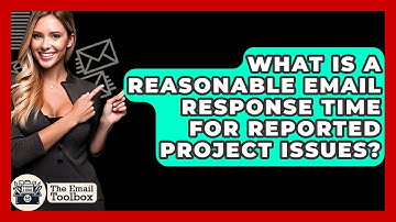 What Is A Reasonable Email Response Time For Reported Project Issues? - TheEmailToolbox.com