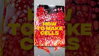 How do you Make Cells? #shorts