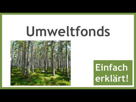 Umweltfonds - Was sind nachhaltige Fonds?