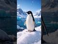 viral "nihilist penguin" story !#penguin #nihilism #facts #antarctica #famous #trending
