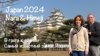 : JAPAN Nara & Himeji    &  vlog-4 2024