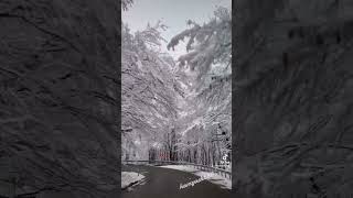 #nature #love #religion #song Love Pakistan