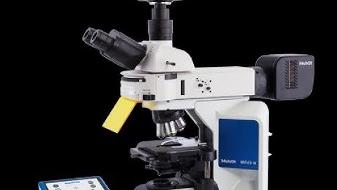 The structure of the Fluorescence microscope MF43-N