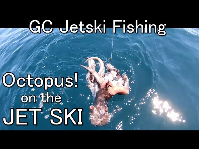 Catching an Octopus on my JET SKI! 