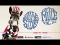 Gov't Mule - Under My Thumb (Stoned Side Of The Mule)
