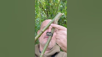 Simple Survival Hunting Weapon #survival