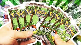 Opening 12x HEAVY JUNGLE 1ST EDITION Pokemon Booster Packs !!! (1 BOX)