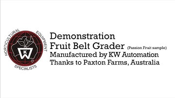 KW Automation - Passion Fruit Grading - Diverging Belt Grader