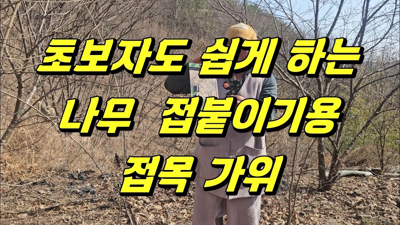 초보자도 쉽게 하는 나무 접 붙이기