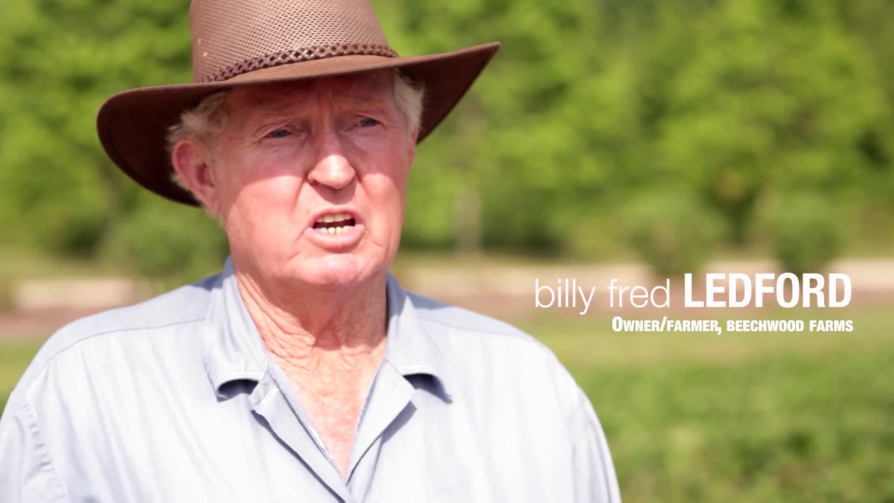 Chartwells SC Locally Grown