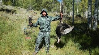 Doug Crookston - 1st bow kill, Turkey -Colorado- Public Land 2016