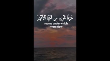 الذين صبروا وعلى ربهم يتوكلون القارئ عبد الرحمن مسعد
