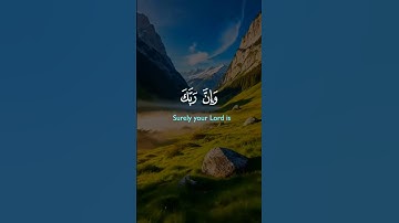 وان ربك لذو فضل على الناس | سورة النمل #قرآن #قران_كريم #قران_كريم_راحة_نفسية