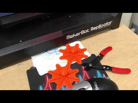 Simon Wieselberg- Nautilus Middle School- 3D printing PSA