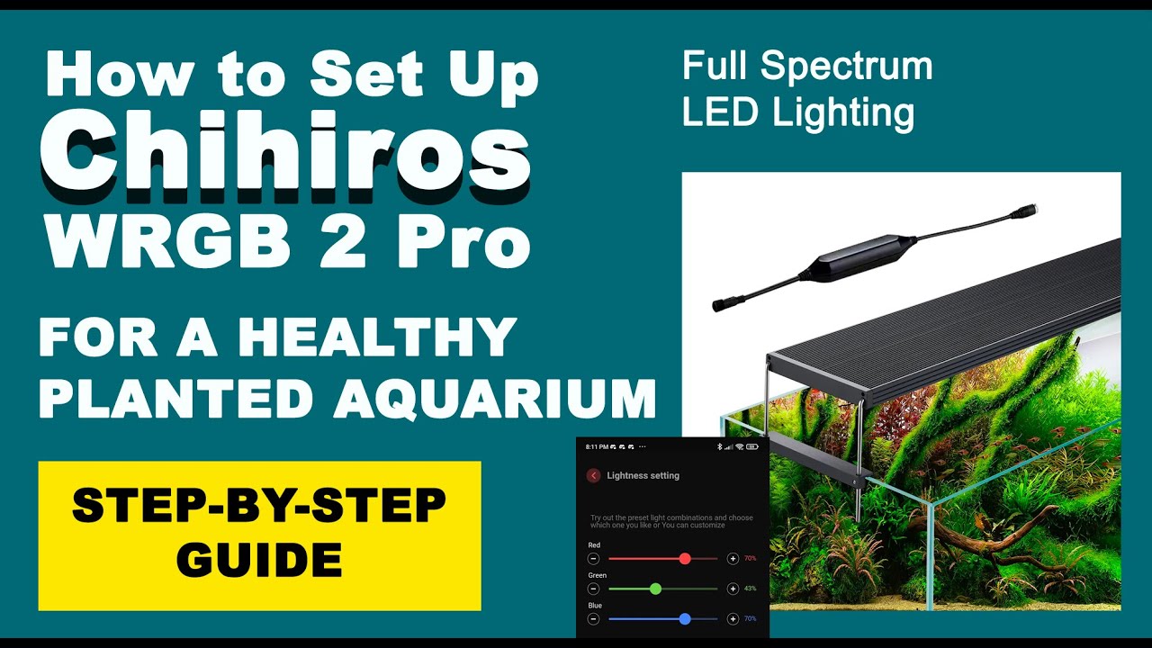 How to Set Up Chihiros WRGB 2 Pro for a Healthy Planted Aquarium