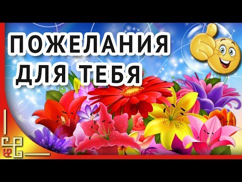 С днем рождения женщине. Оригинальное видео поздравление с днем рождения женщине. Видео открытка