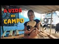 Porque eu deixei de viajar de motorhome ep637