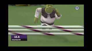 Shrek Does Dog Race In Reverse