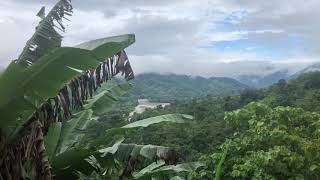 Sounds of nature at the valley of the fireflies in Ecuador screenshot 5