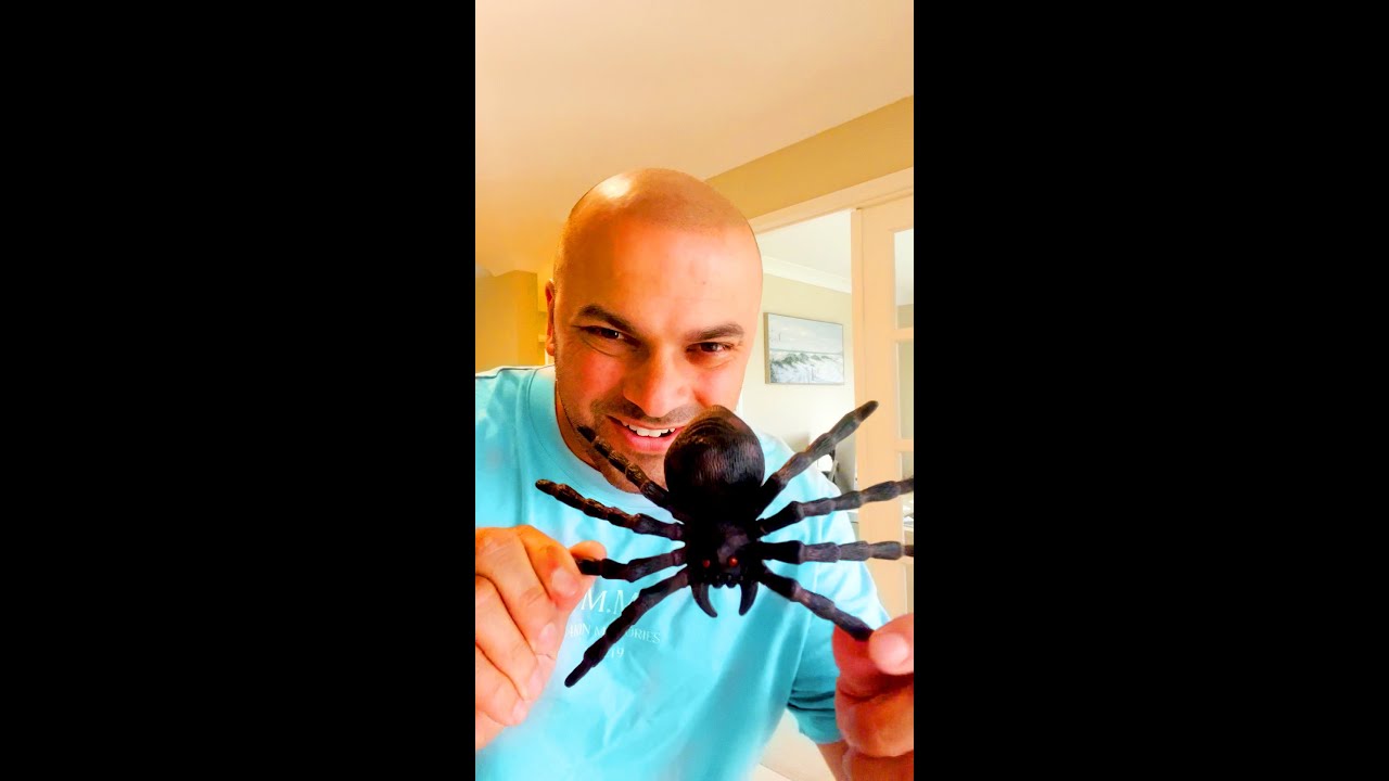 When Halloween Comes Early  YouTube