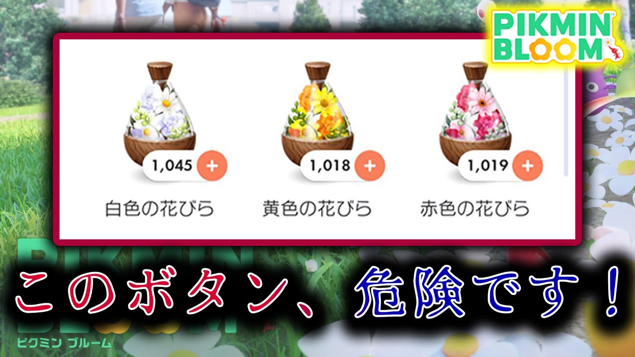 ピクミンブルーム】このボタン、危険です！【Pikmin Bloom】 - YouTube