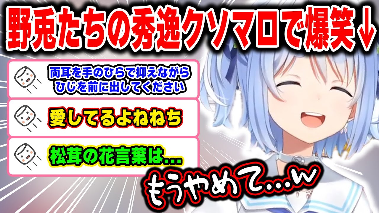 野兎たちのクソマロが秀逸すぎて笑いが止まらなくなるぺこらｗ【ホロライブ/兎田ぺこら/切り抜き】