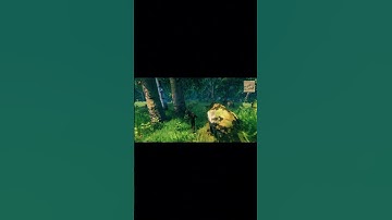 “She Warned Us About Falling Trees… Guess Who Got Hit 😅” #valheim #valheimcoop #gaming