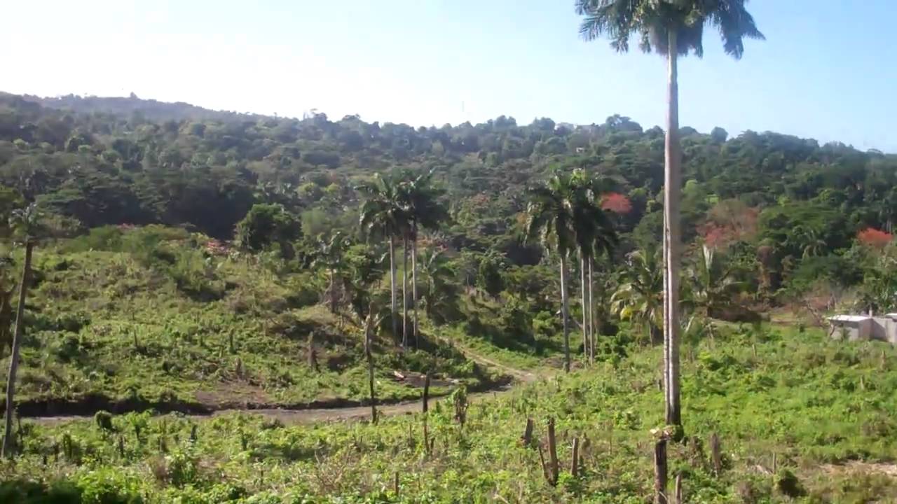 Lots for Sale Napa Heights SubDivision Tour 3 of 6 YouTube