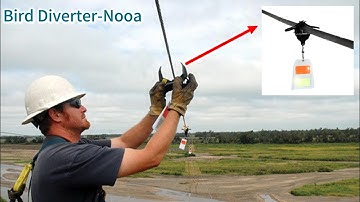 Small Device, Big Impact-Bird flight diverters
