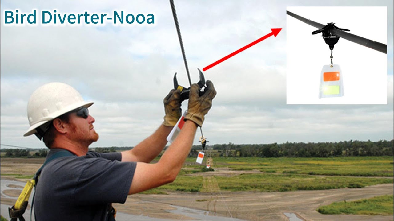 Small Device, Big Impact-Bird flight diverters