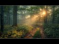 Relaxing Music 24/7, Stress Relief Music, Sleep Music, Meditation Music, Study, Calming Music