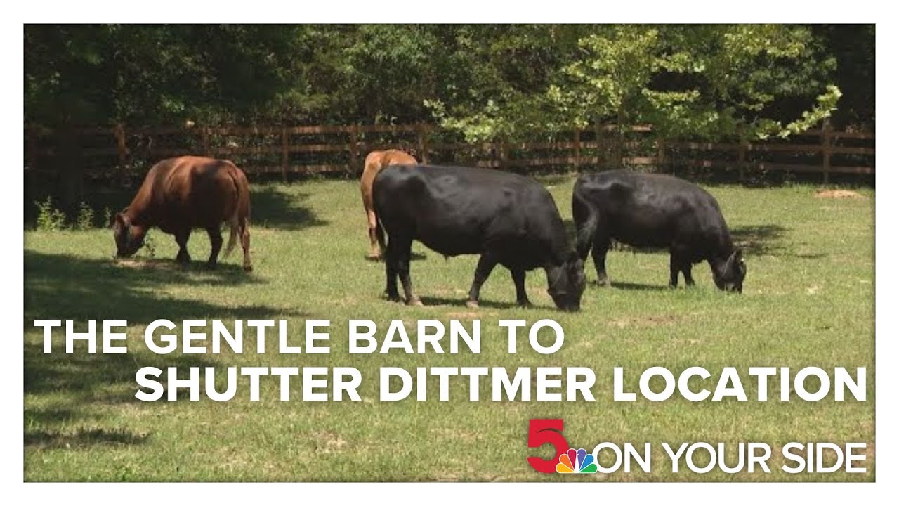 The Gentle Barn to shutter Dittmer location, move animals out of state