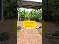 5s You Won’t Believe This Front Yard Makeover #shorts #construction #transformation#beforeafter