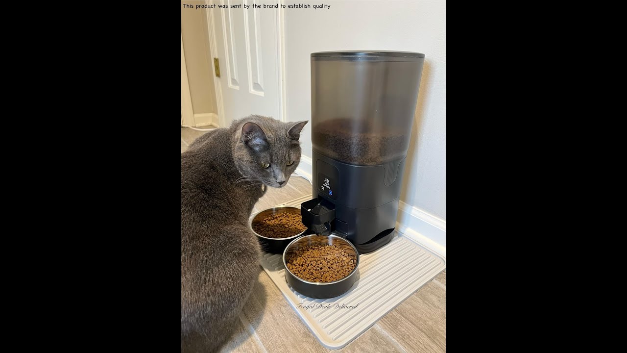 Easy steps to set up the Papifeed Smart App Pet Feeder - 2 cats ...