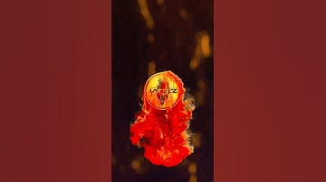 Intro revel #youtube #youtubeshorts #intro #revelation