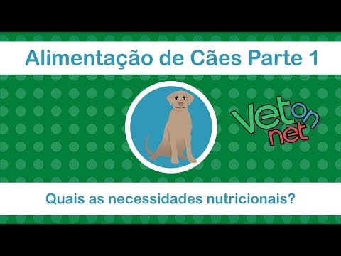 Vídeo: Estágios Da Vida Do Cão E Necessidades Nutricionais