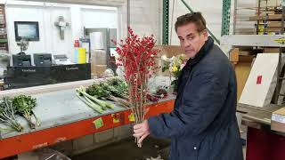 Novelty Flowers at Universal Greens