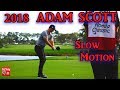 Adam Scott Driver Golf Swing Slow Motion