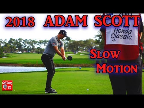 2018 ADAM SCOTT