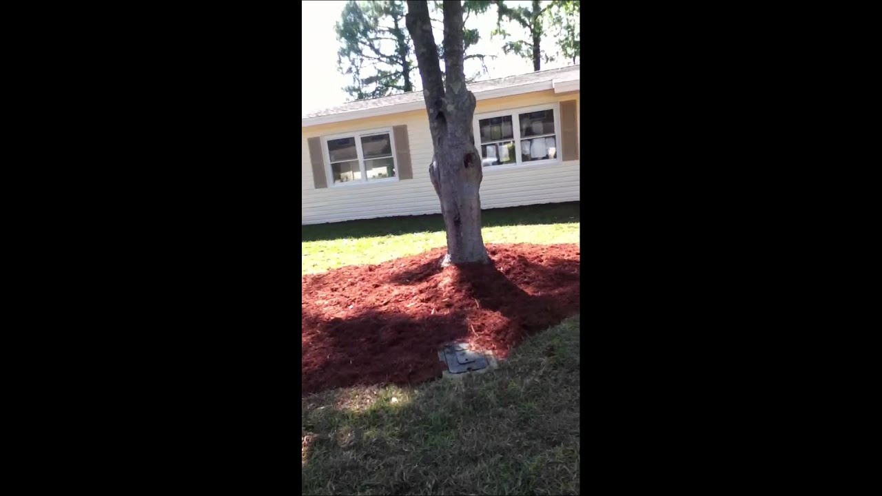 Remodelasion de casas - YouTube