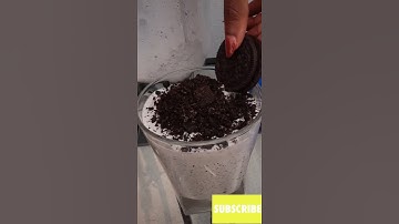 Oreo McFlurry Recipe