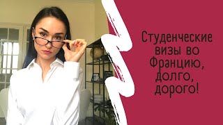 Как получить студенческую визу во Францию: подробное руководство.