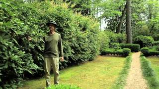 Planting Techniques for Privacy : Landscaping Designs & Ideas Subscribe Now: http://www.youtube.com/subscription_center?add_user=ehowg... Watch More: http://www.youtube.com/