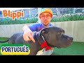 Blippi Visita um Abrigo de Animais | Vídeos Educativos para Crianças | As Aventuras de Blippi