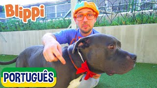 Blippi Visita um Abrigo de Animais | Vídeos Educativos para Crianças | As Aventuras de Blippi