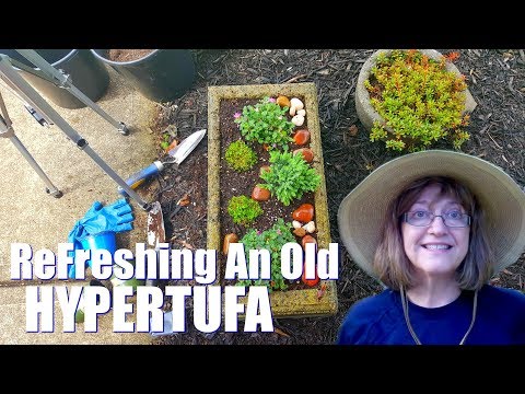 Refreshing An Old Hypertufa Pot - Sunken Soil Levels