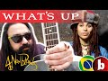 WHAT&#39;S UP - 4 Non Blondes by Fabricio BamBam