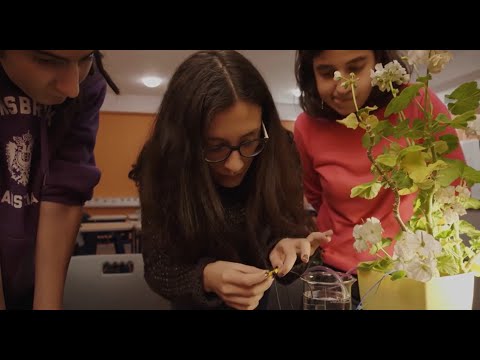 სამეცნიერო პრაქტიკული - ათასწლეულის სკოლა