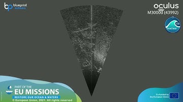 Feeding the AI: Collecting and curating a dataset for marine litter, flora and fauna (sonar snippet)